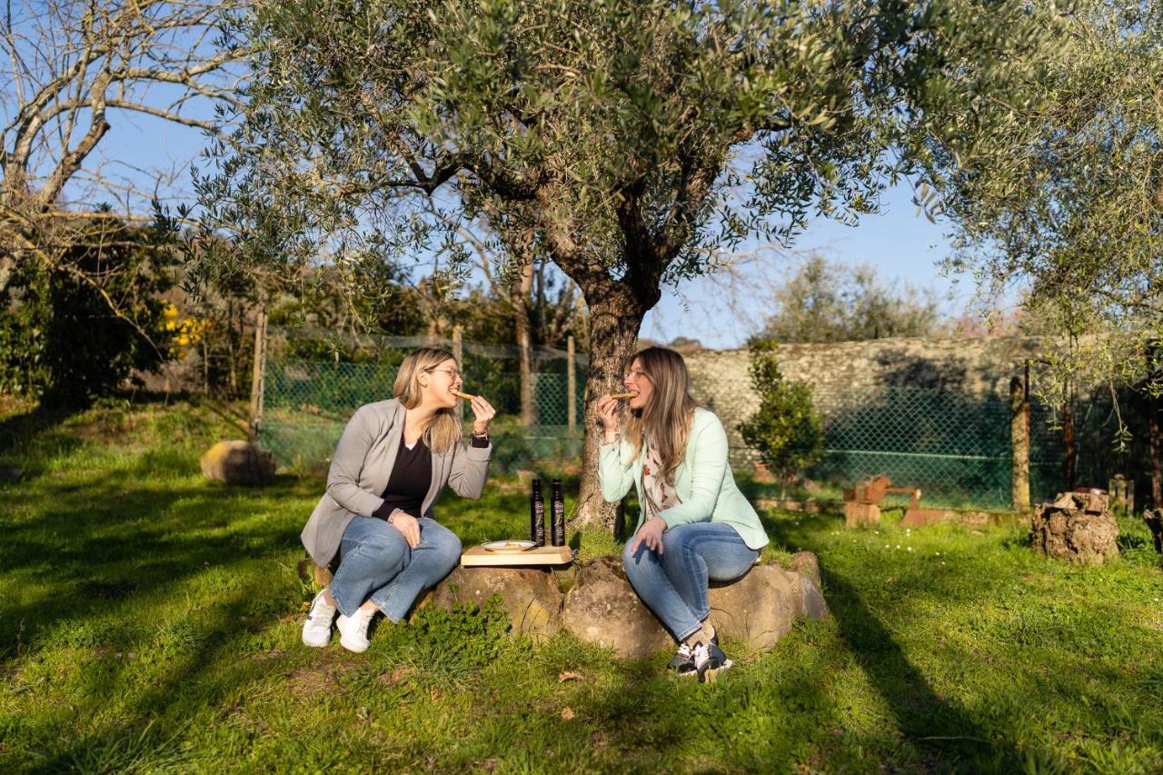 Agriturismo Bellandi Santa Lucia  Екстериор снимка